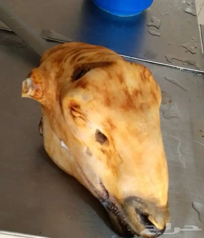 طليان سواكن دبازين جذعان 7