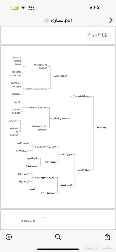 فرس واهو مكس (مبيوعه) 1