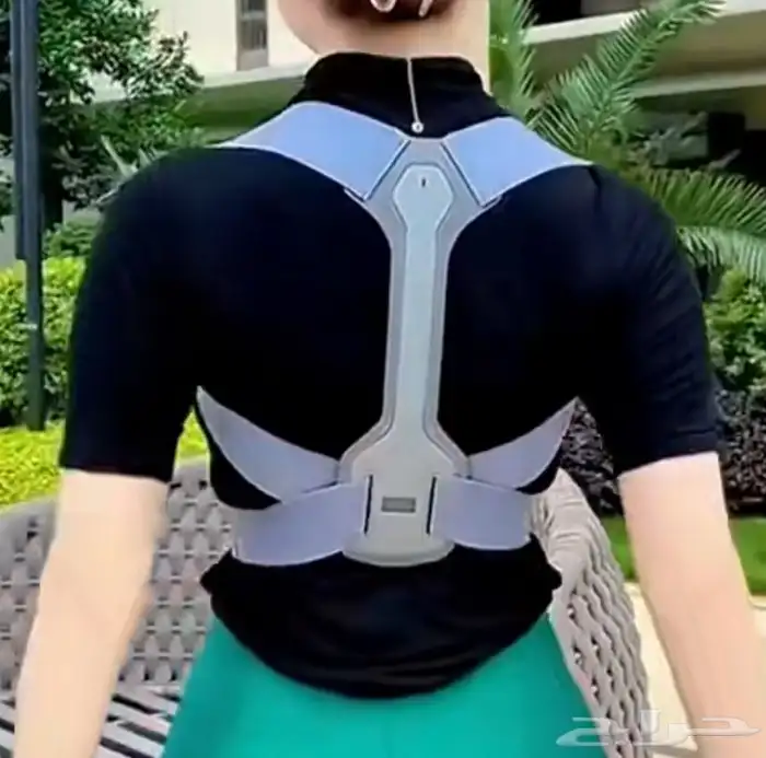 حزام الظهر 0