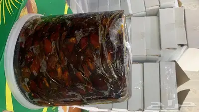 تمور حائل الفاخره 5
