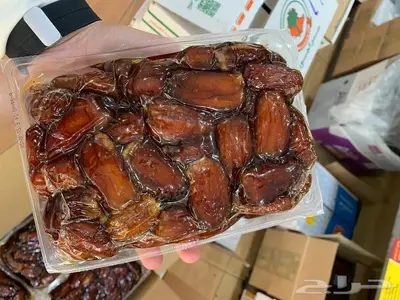تمور حائل الفاخره 3