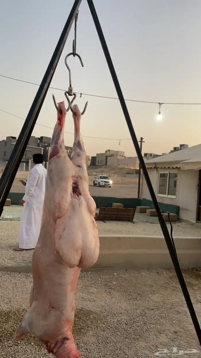 معلم مشويات 3