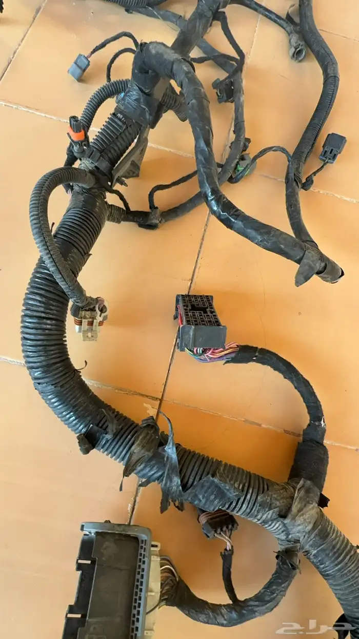 ظفيرة يوكن 2