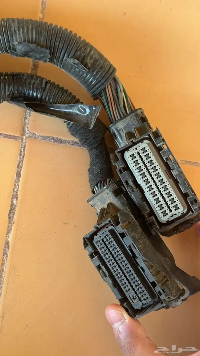 ظفيرة يوكن 0