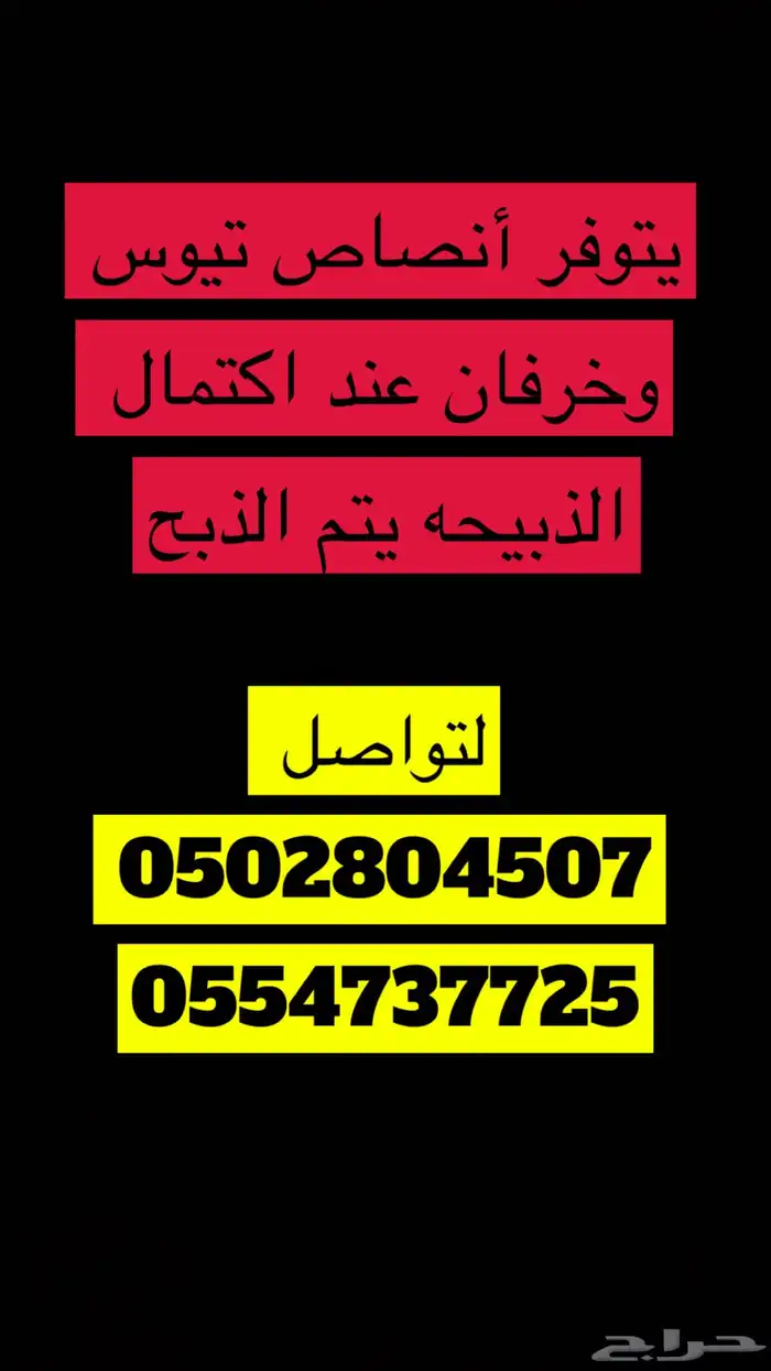 أبو ذيب للذبائح ( يتوفر ذبح وتوصيل ) 2