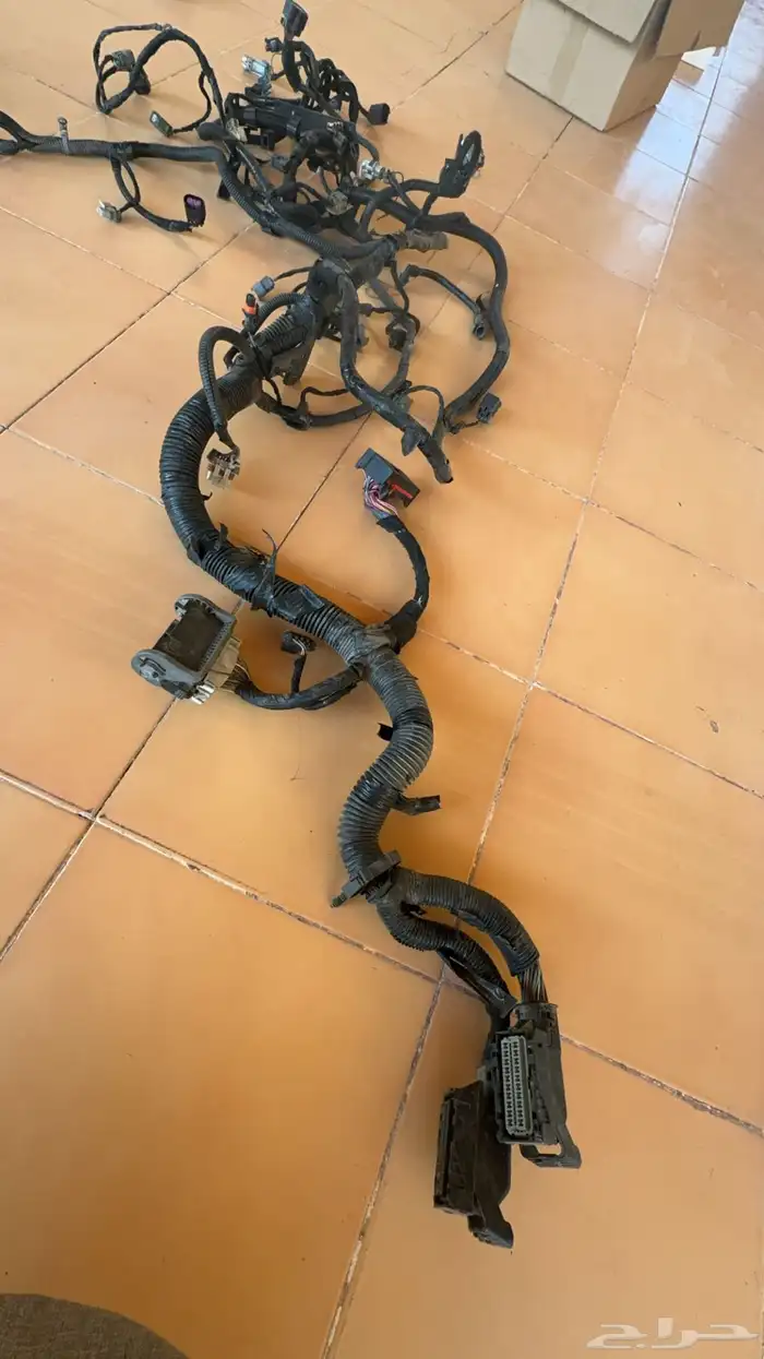 ظفيرة يوكن 1