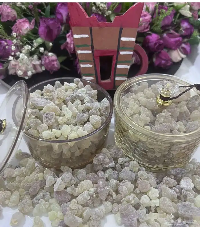 اللبان العماني من صلاله 1