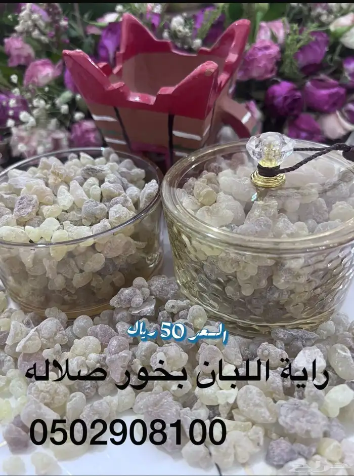 اللبان العماني من صلاله 8