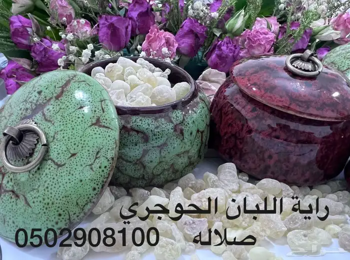 اللبان العماني من صلاله 4