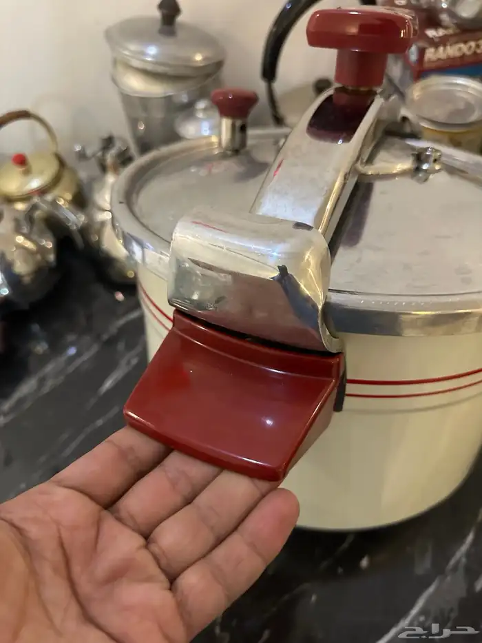 كاتم فرنسي نادر 8