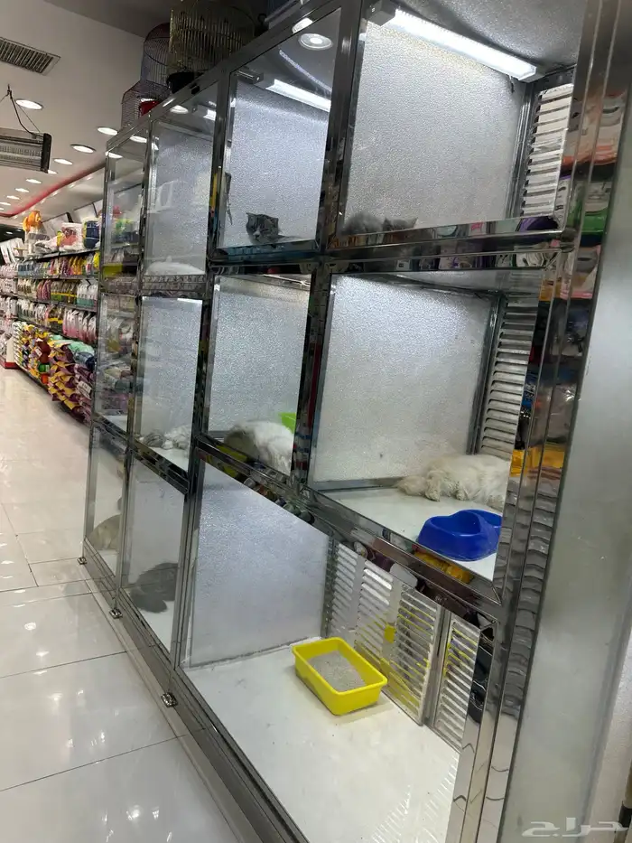 مستلزمات حيوانات اليفة وخدمات 23