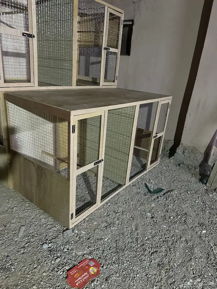 قفص محاكر 82