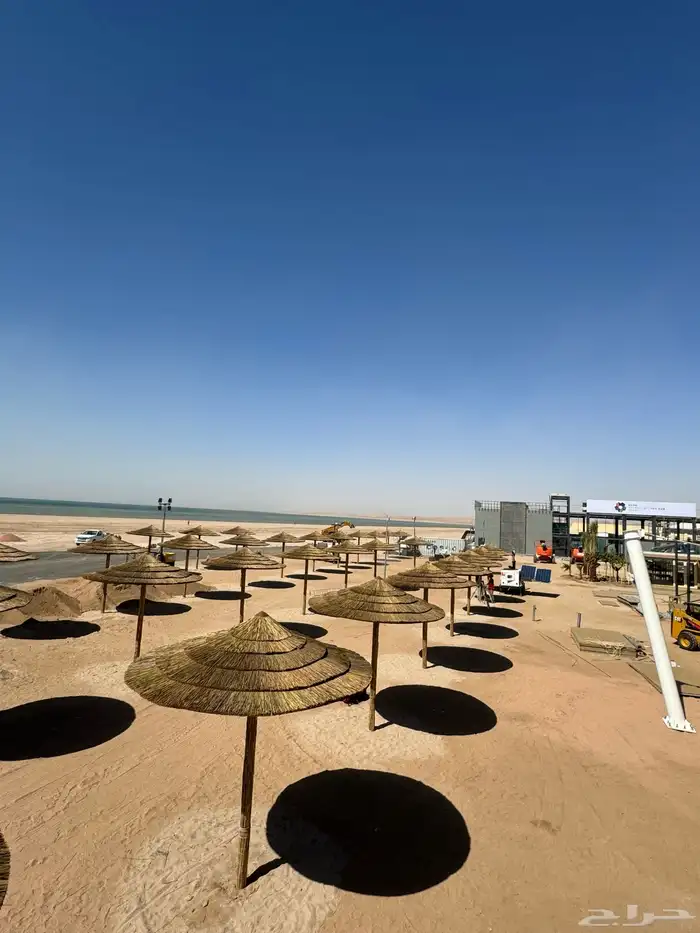 خيزران البامبو الأفريقي والأندونيسي بوهو 4