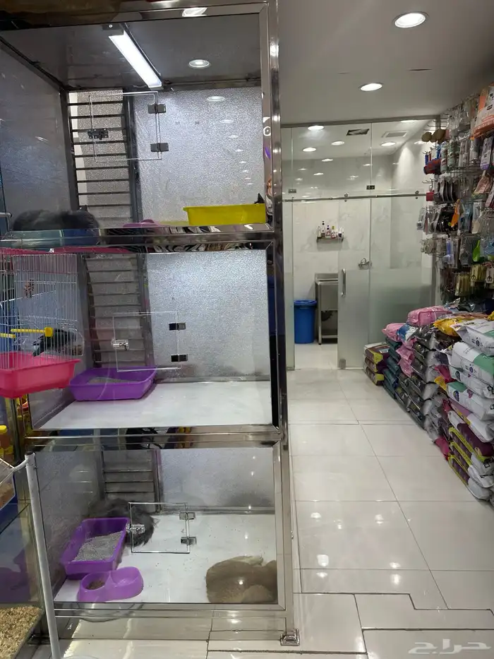 مستلزمات حيوانات اليفة وخدمات 24