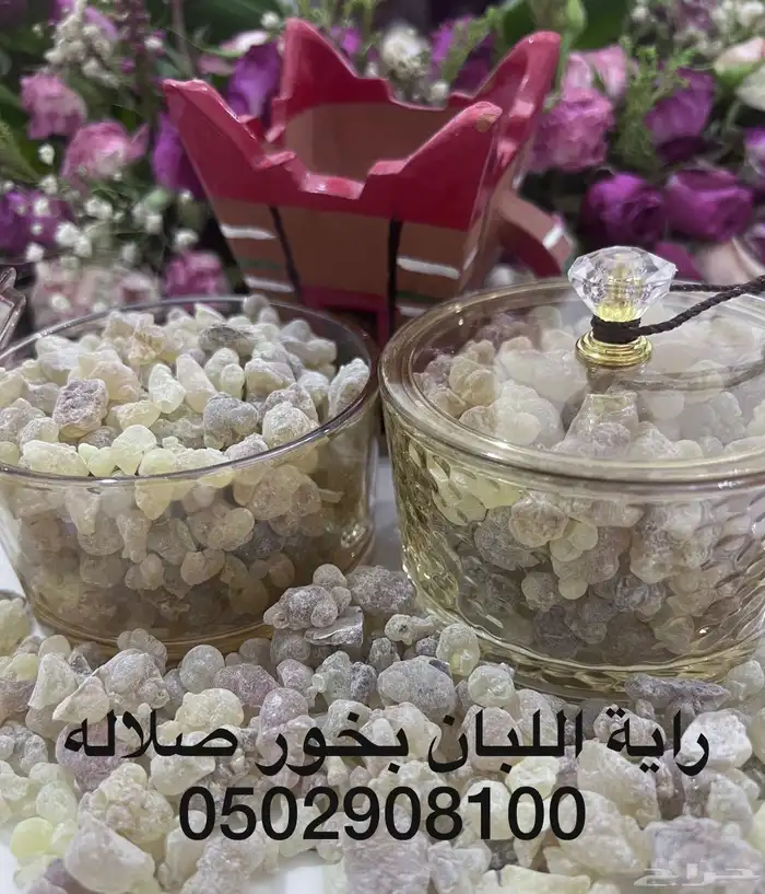 اللبان العماني من صلاله 5