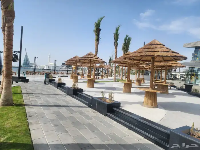 خيزران البامبو الأفريقي والأندونيسي بوهو 12