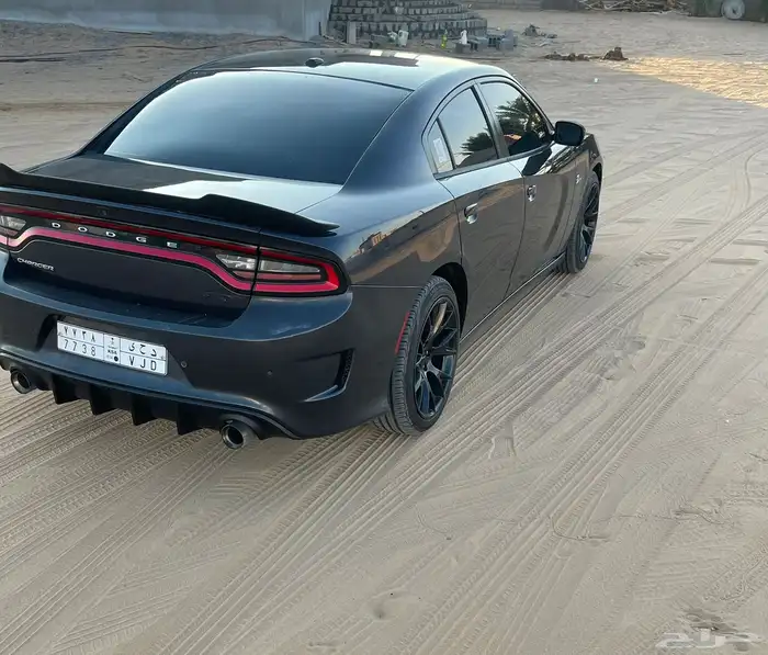 دووج للبيع 3