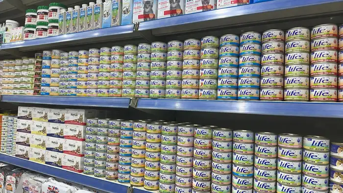 مستلزمات حيوانات اليفة وخدمات 15