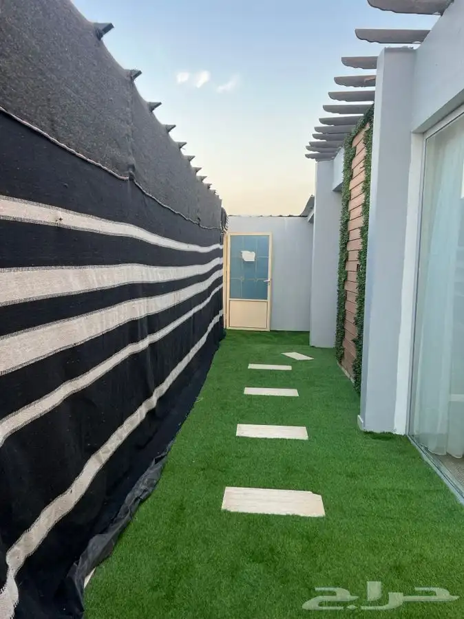 جناح عرسان 7