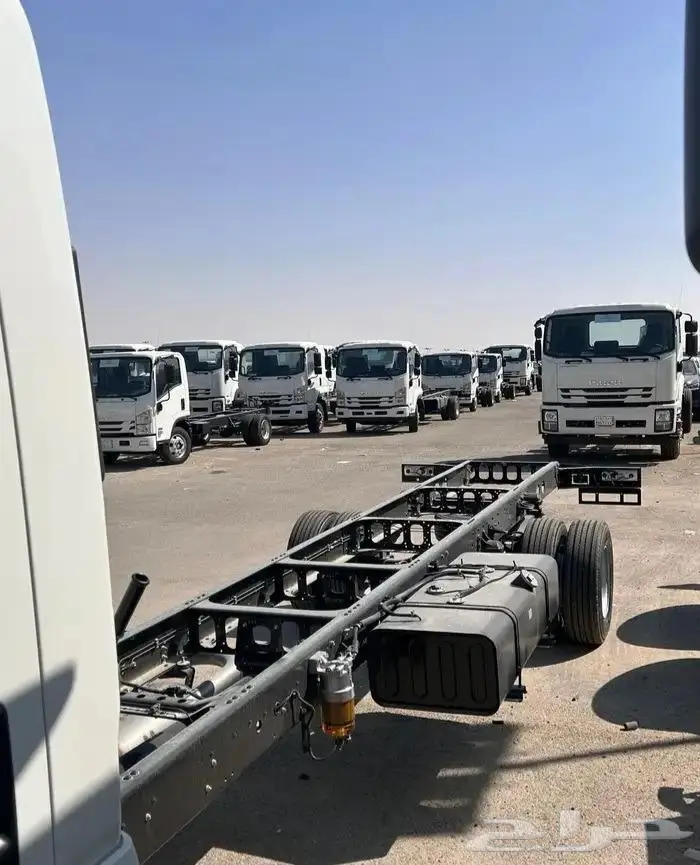 ايسوزو دينا. 2024 3