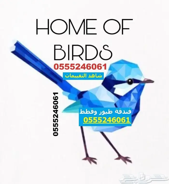 فندقة قطط وطيور 6061 24 0555 شاهد التقييمات 3