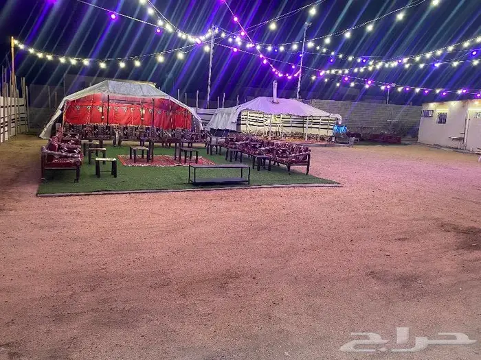 استراحة ومخيم زهرة الطايف 75