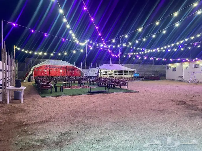 استراحة ومخيم زهرة الطايف 76