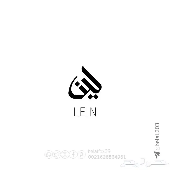 تصميم شعار 6