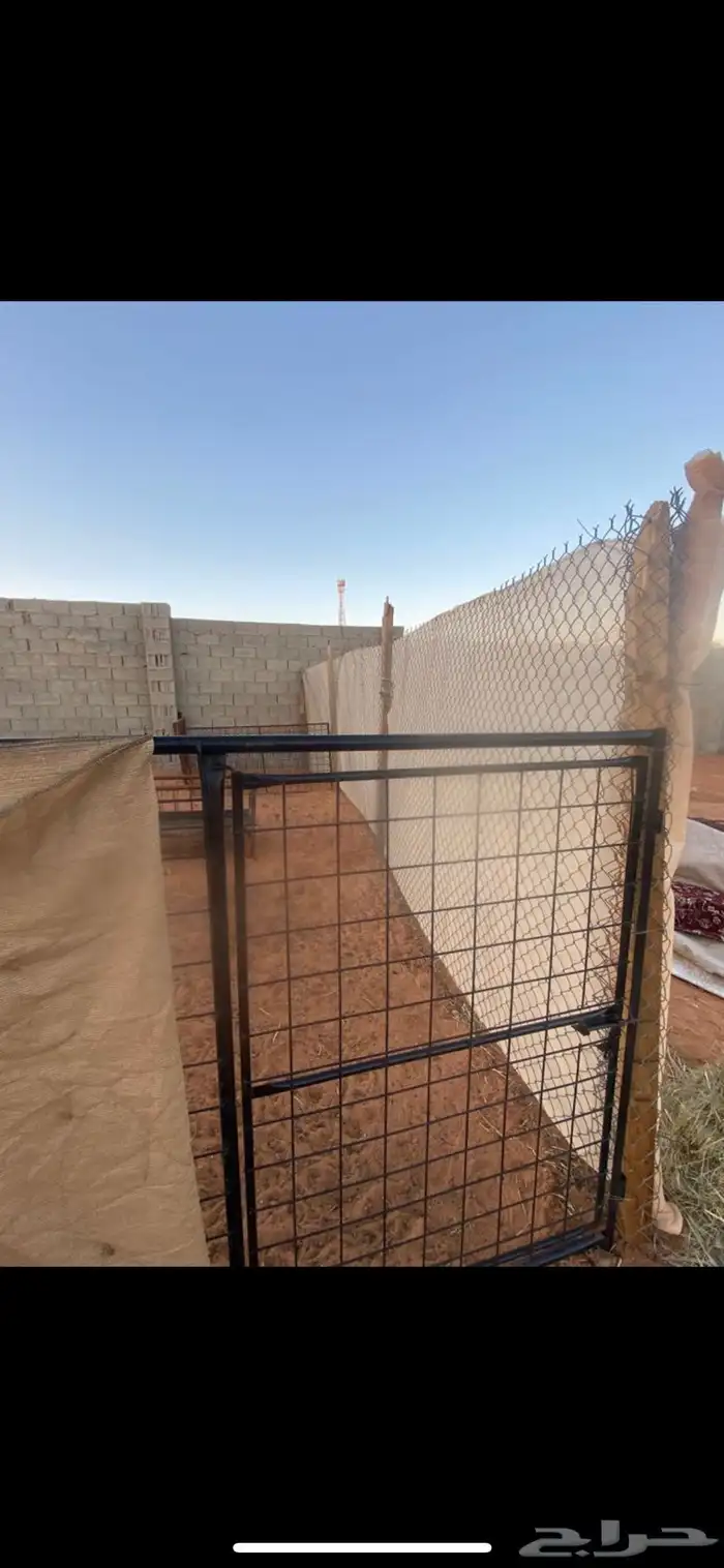 حضائر أغنام للإيجار 0