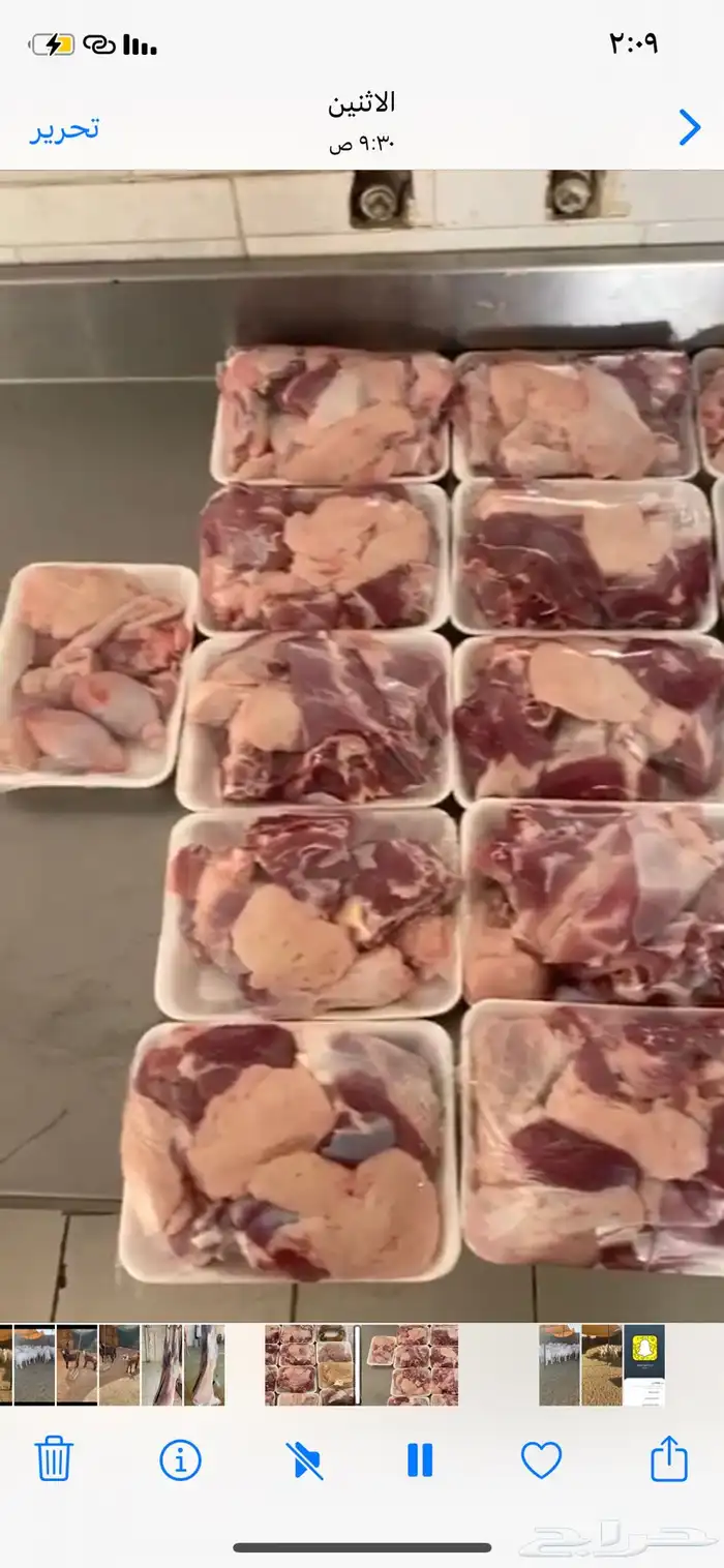 أبو ذيب للذبائح ( يتوفر ذبح وتوصيل ) 11