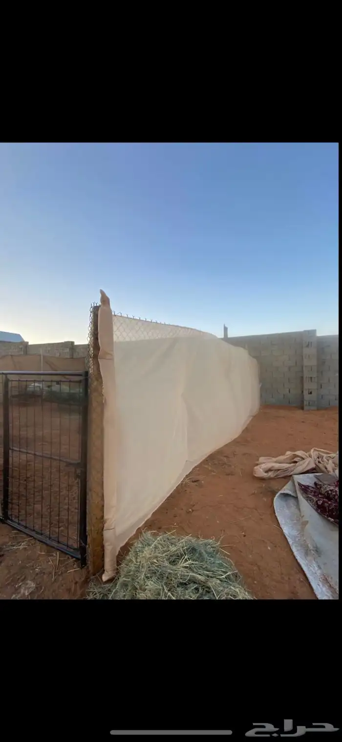 حضائر أغنام للإيجار 4