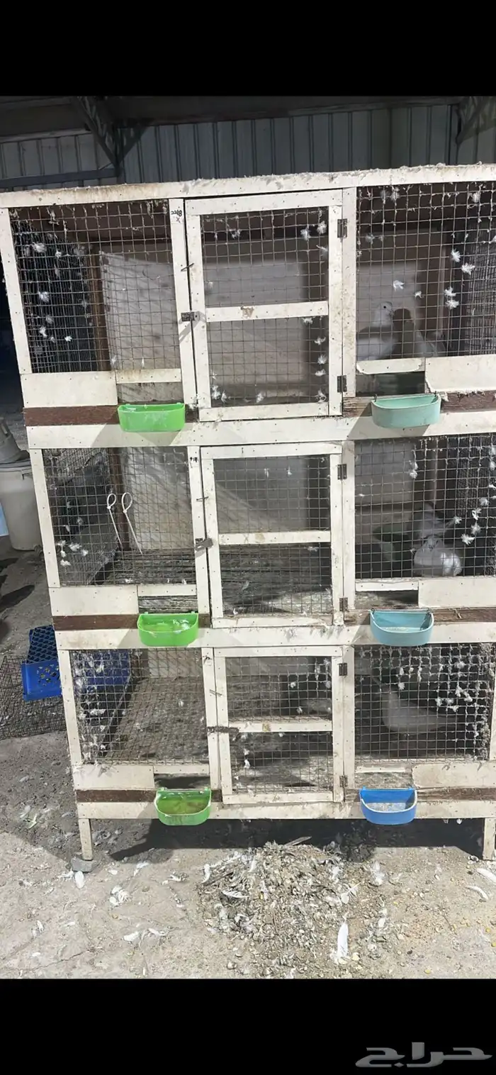 قفص محاكر 76