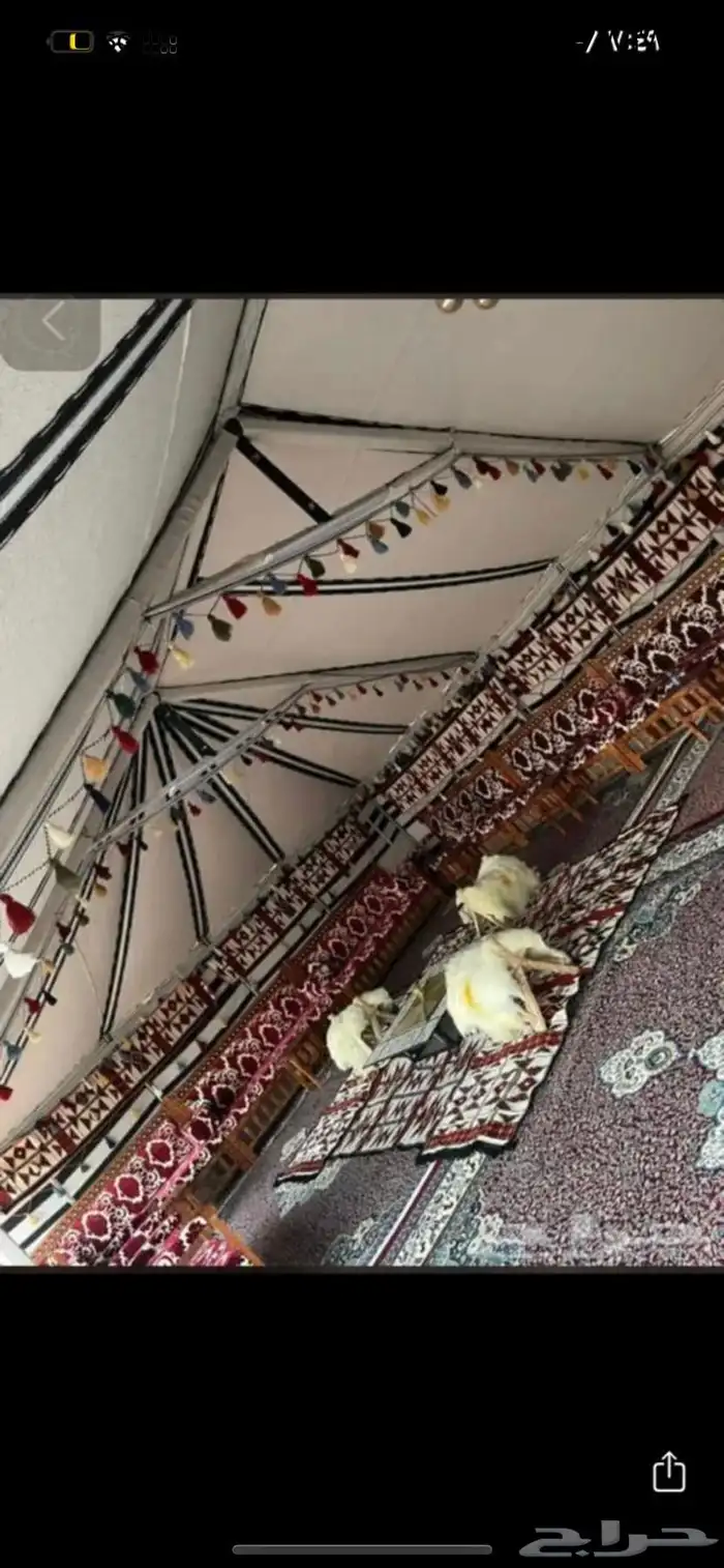 للبيع البيوت الشعر والخيام جميع ملتزمات البر 10