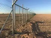 يوجد لدينا جميع انواع النخيل ونقوم تركيب جميع انواع الشبوك 6