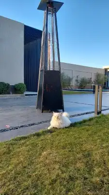 دفايه الفيصليه غاز جامبو 2