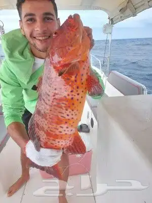 رحلات بحرية صيد وسباحه و تمشيه داخل شرم 2