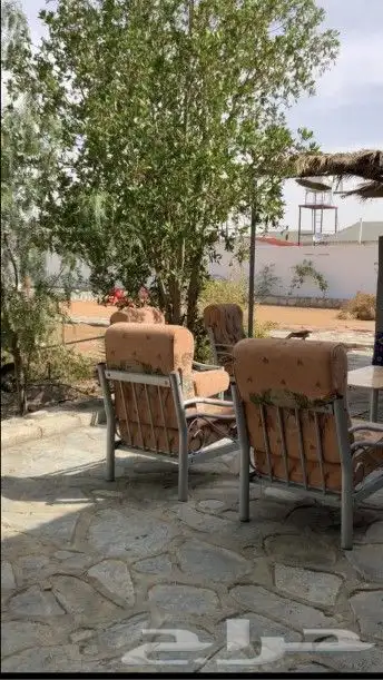 استراحه للايجار الاسبوعي واليومي بالرميده 10