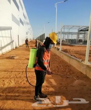 شركة مكافحة حشرت بتبوك مع الضمان 12