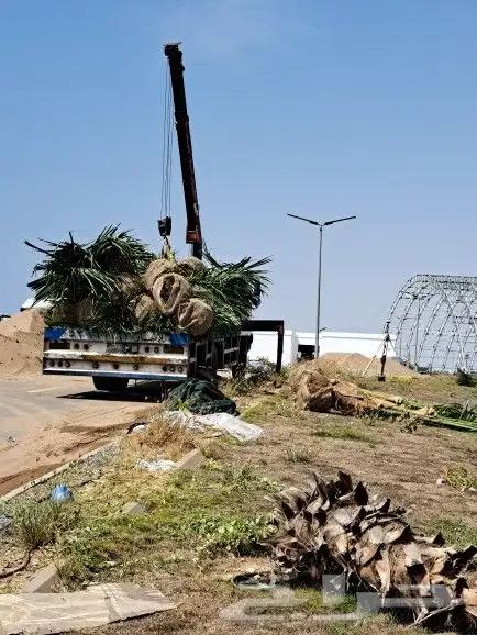 سطحه ونش كرين للإيجار 8