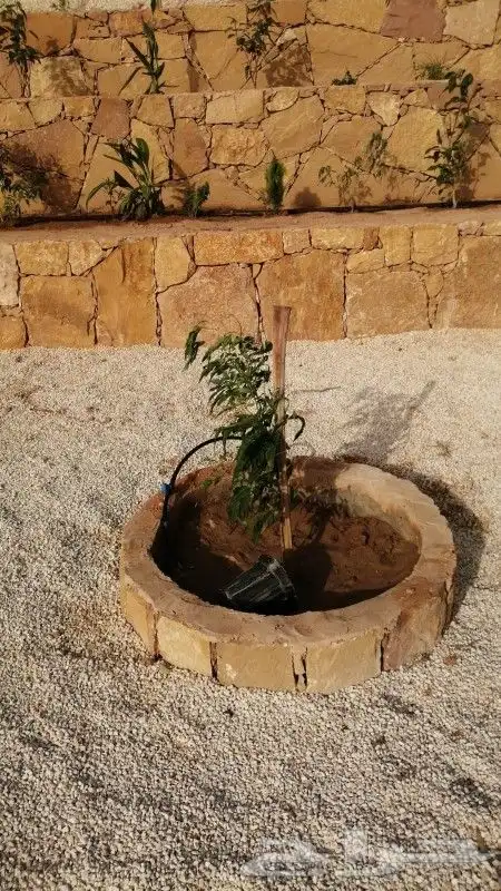 نقوم بجميع اعمال التراث الشعبي من طين وحجر 6