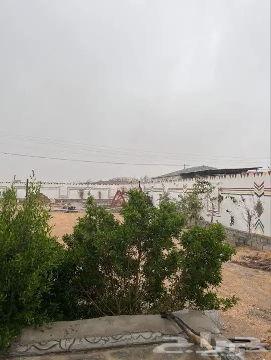 استراحه للايجار الاسبوعي واليومي بالرميده 24