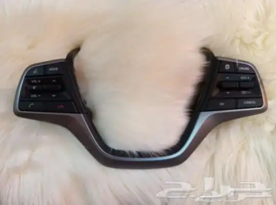 Elantra Cruise Control 0