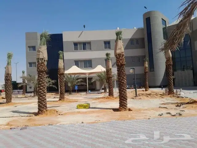 التوريد جميع انواع النخيل وجميع المقسات ونقوم بقلع وغرس وتكر 0