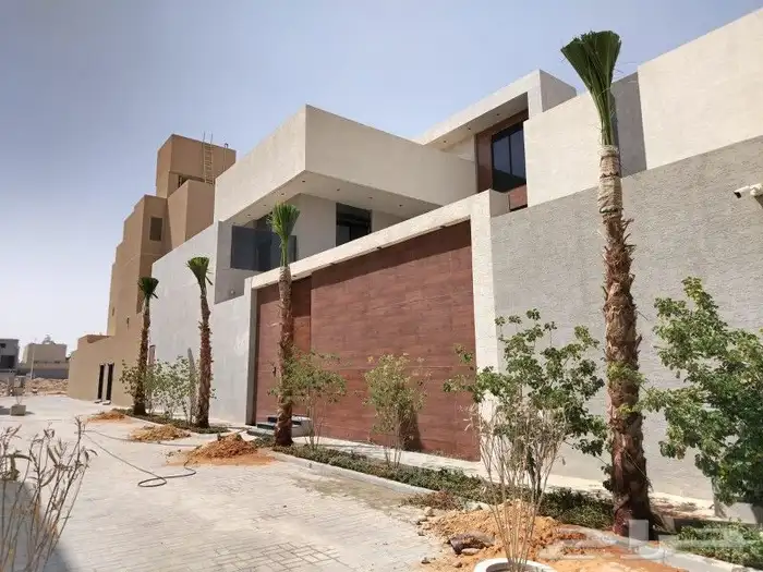 نخل واشنطن فاخر للبيع  على الشرط في الجوده 1