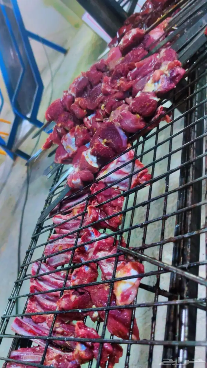 مشويات خارجيه شواء متنقل 13