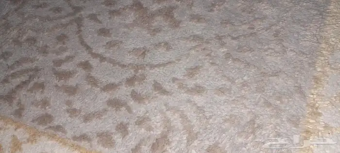 سجاد زوليه فرشه 5