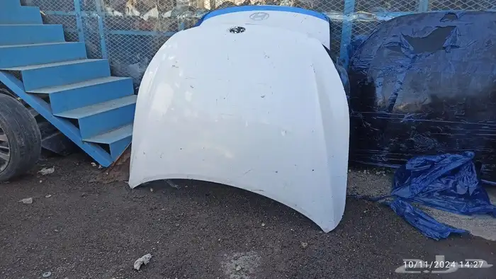 كبوت كادينزا 2012 -2013 0