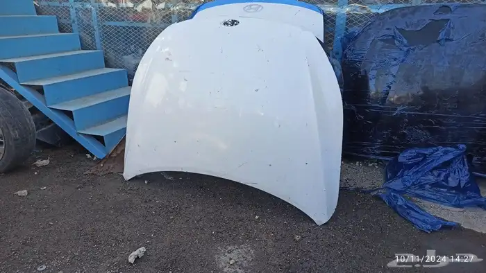 كبوت كادينزا 2012 -2013 1