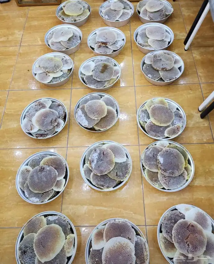 عسل سدر بلدي اصلي مضمون وع الشرط انتاج جديد 1446 9