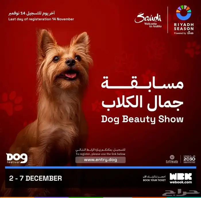 مدرب كلاب 10